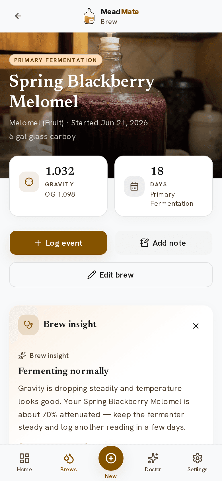 MeadMate brew page showing gravity readings, fermentation stage, and a brew insight