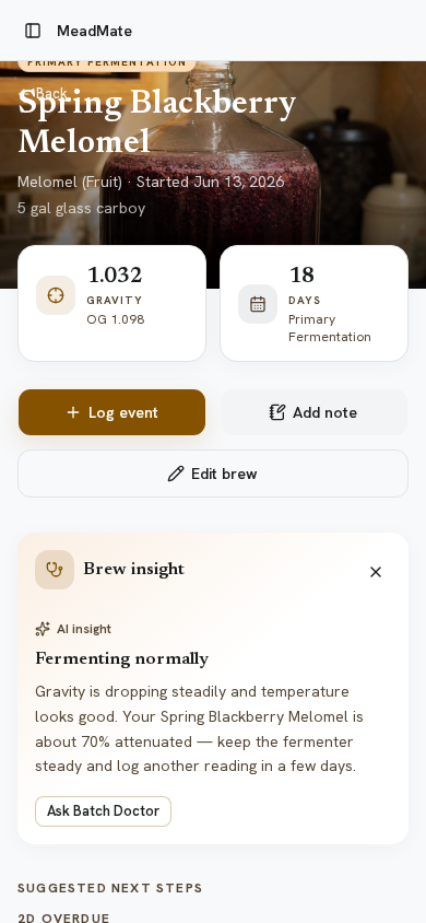MeadMate Today's Plan checklist of brewing tasks
