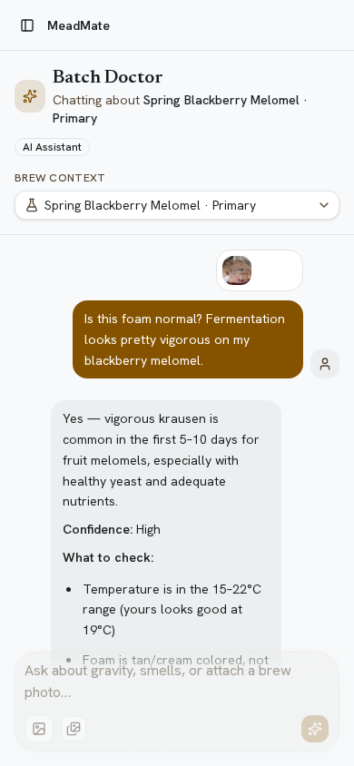 MeadMate Snap and Ask chat answering a question about a brew photo